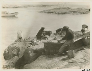 Image of Eskimo [Inuit] family cleaning fish.